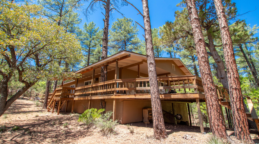 Shearer - Pine View Dr-07