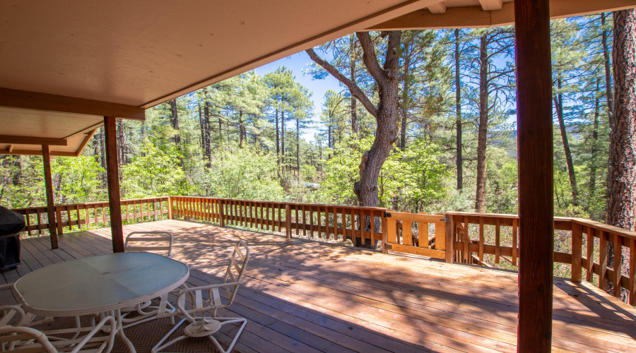 Shearer - Pine View Dr-21