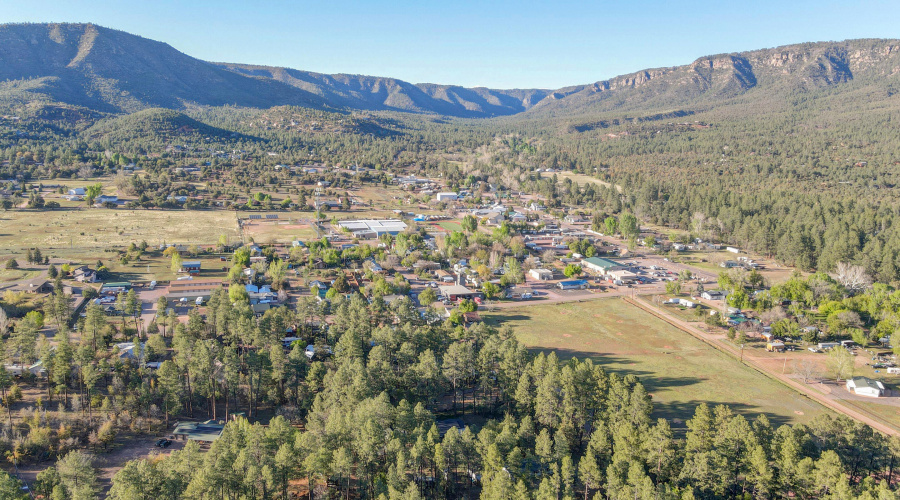 Aerial View - Mountain - Trees