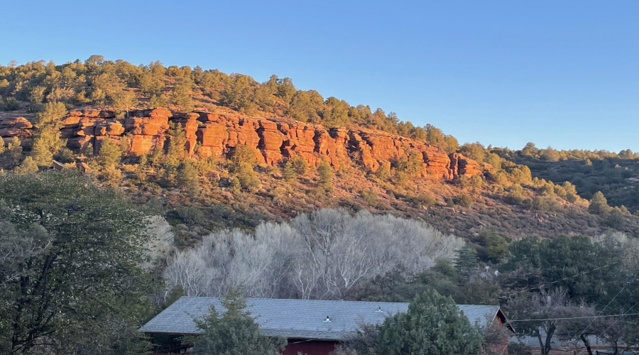 Summer View