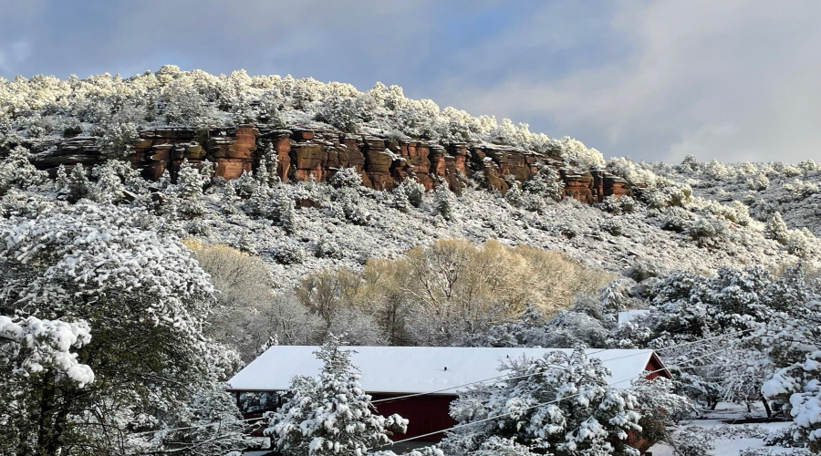 Winter View