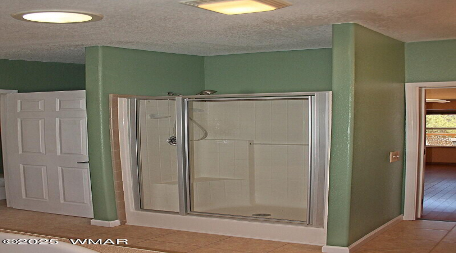 029_Master Shower