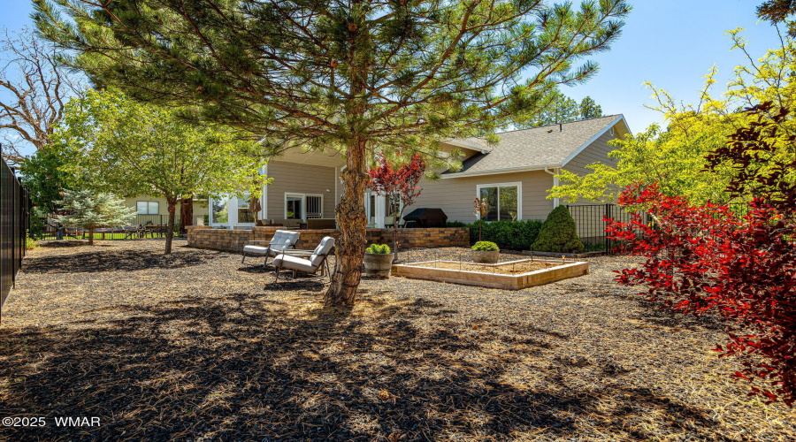 Gorgeous backyard
