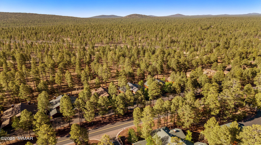 Drone Forest