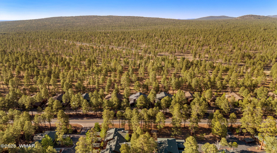 Drone Area