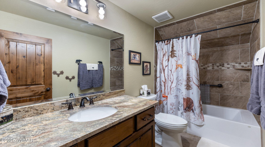 Bonus Room Bathroom