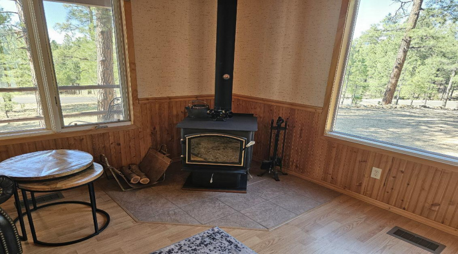 Pellet Stove