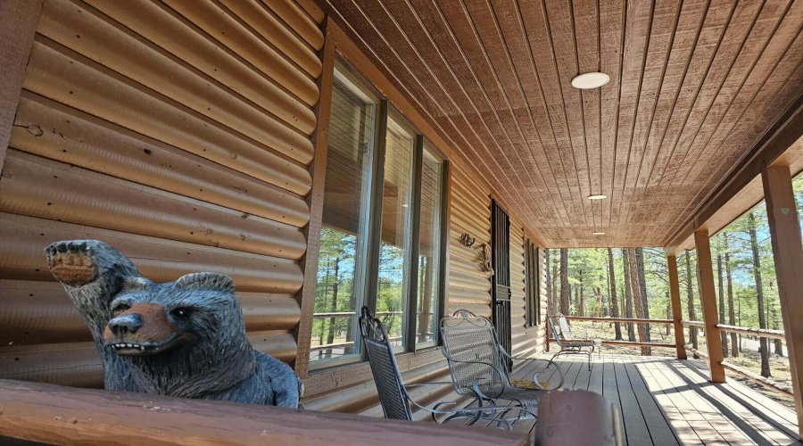 Deck Wood Ceiling
