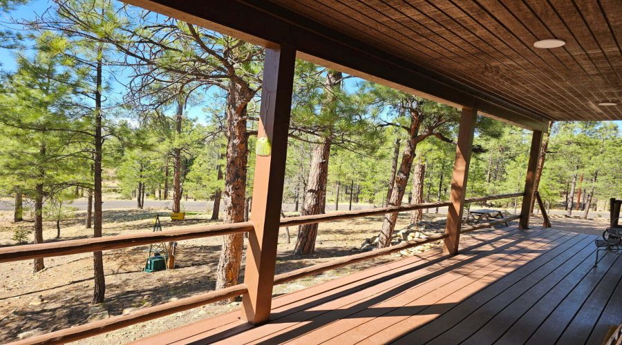 Wooded Views