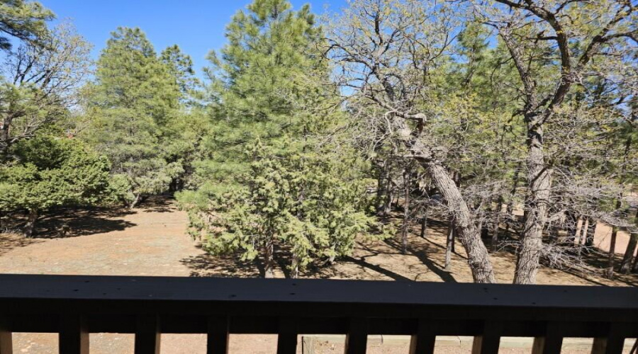Nicely Treed
