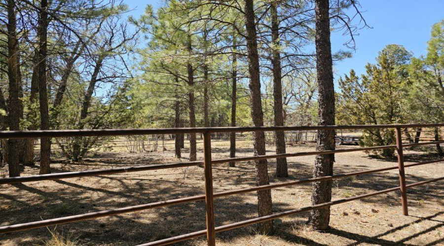 Horse Corral