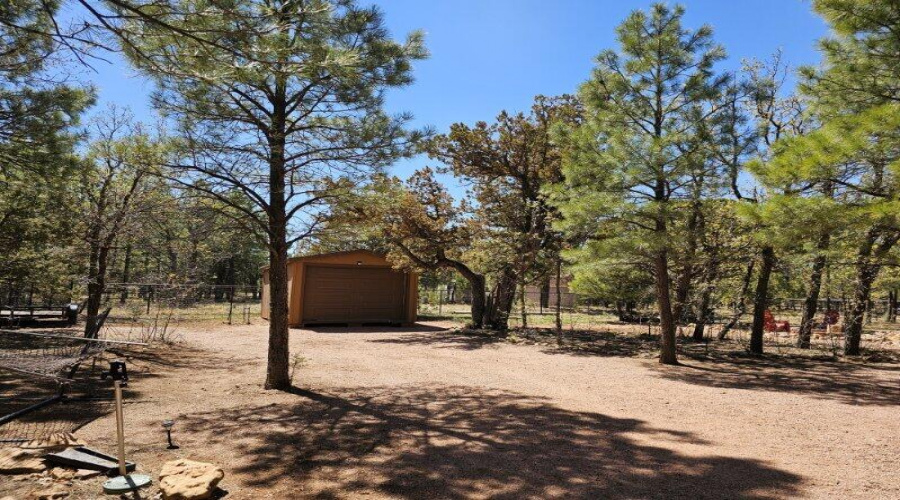 Large Storage Shed