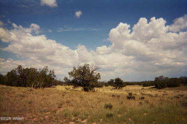 AZ 2007 Sierra Highland 3