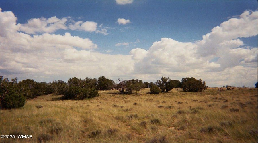 AZ 2007 Sierra Highland 2