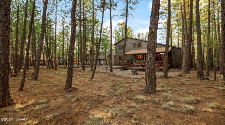 6523WildcatWay-Pinetop-AZ-42