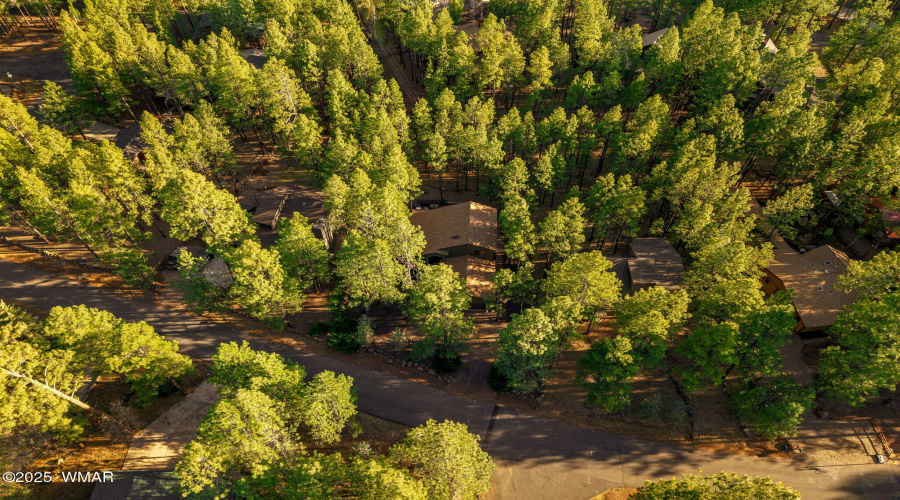 6523WildcatWay-Pinetop-AZ-44