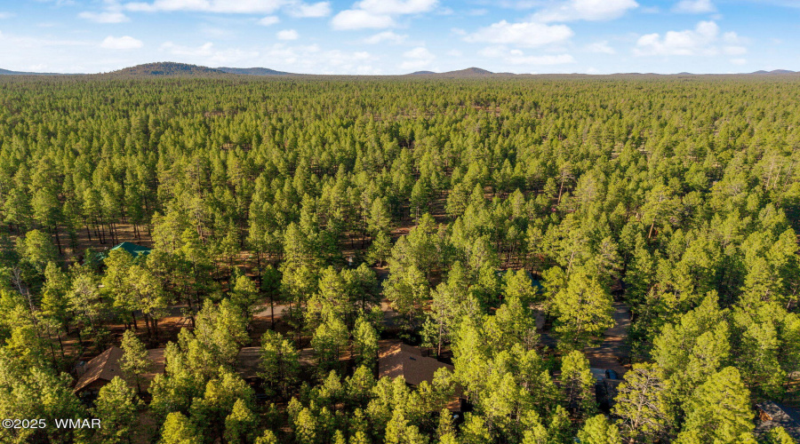 6523WildcatWay-Pinetop-AZ-47