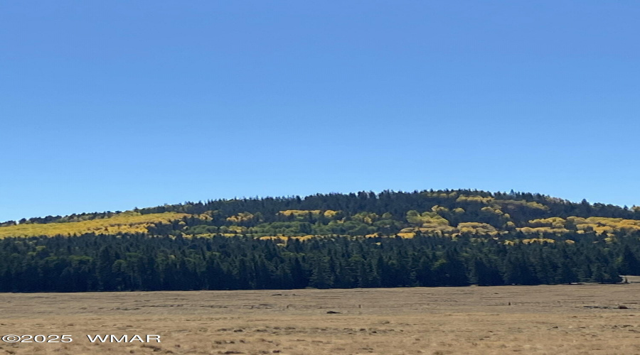 Fall Mountains