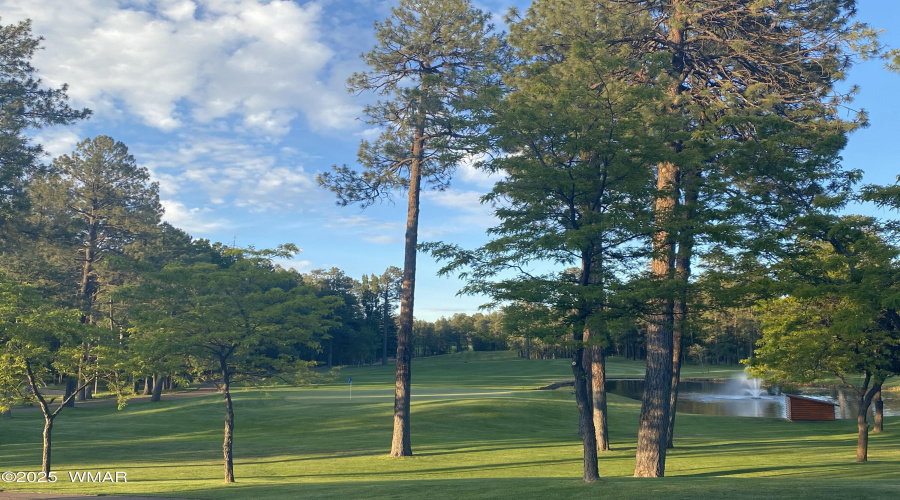 Golf Green