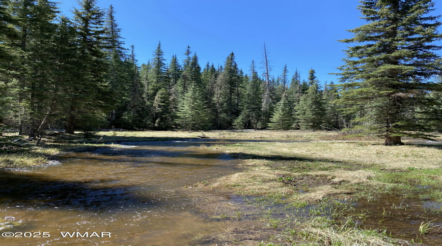 Greer Creek