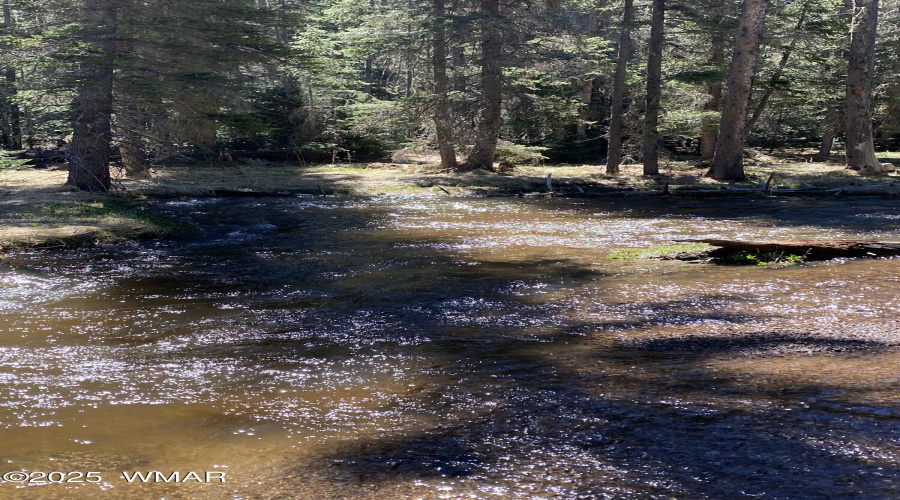 Greer Streams