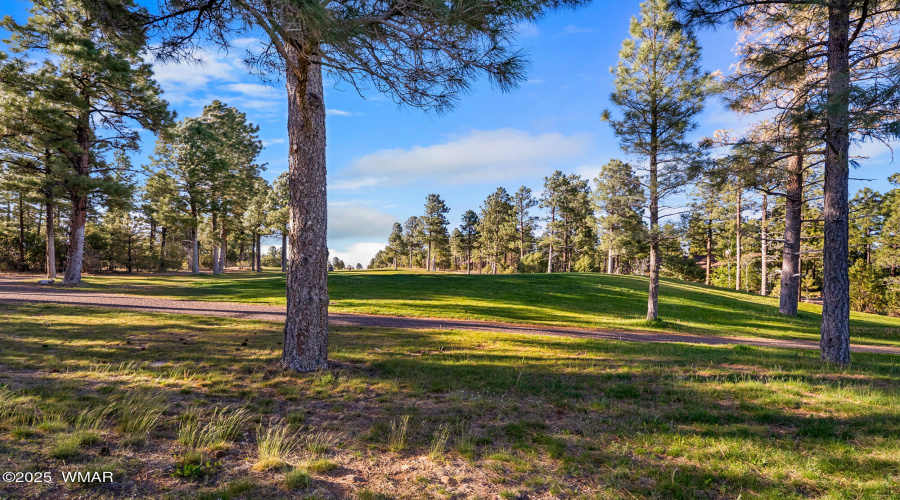 Views of the Golf Course