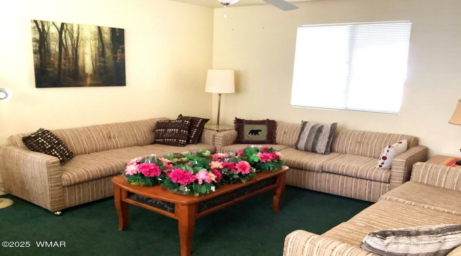 Clubhouse TV Room