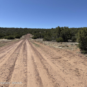 Texas Lane