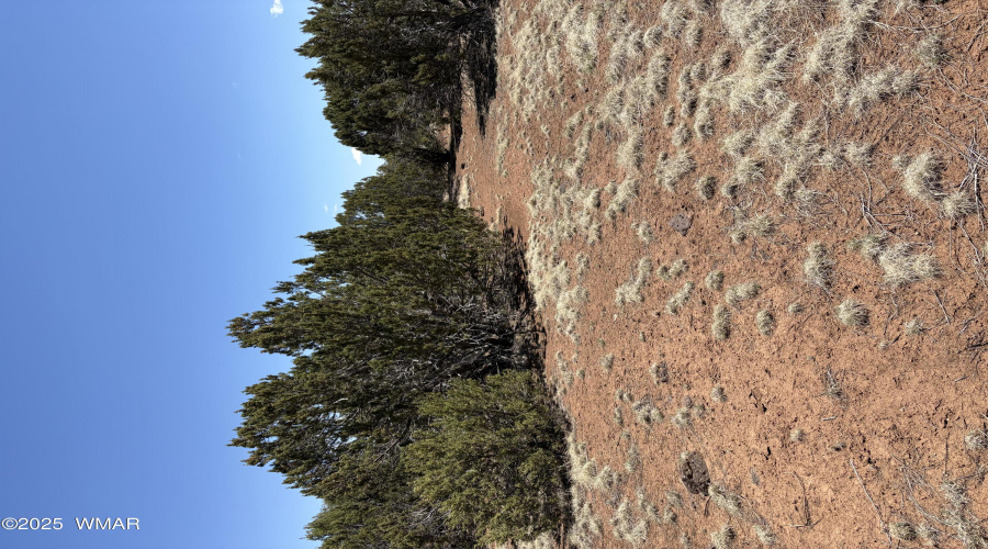 Clearing