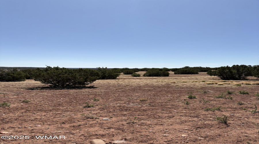 Clearing for Developement