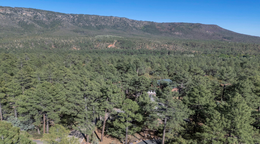 52-web-or-mls-TimberCreekImagery-40