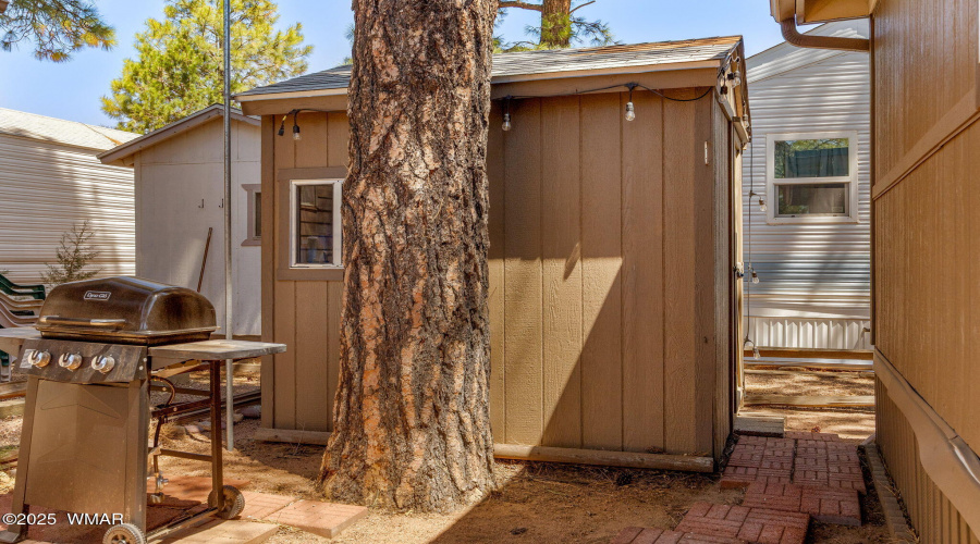 2266HorseTheifTrail-Heber-AZ-22