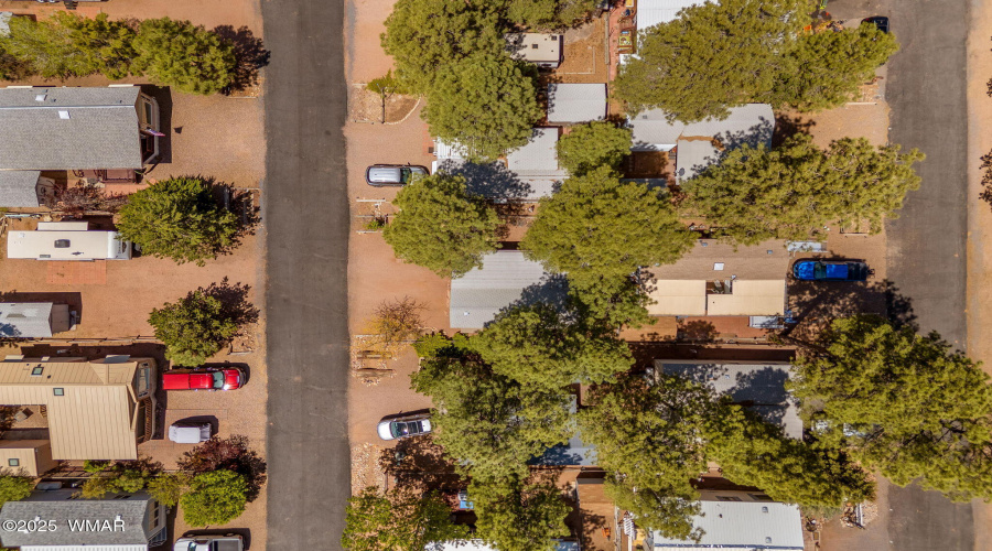2266HorseTheifTrail-Heber-AZ-26