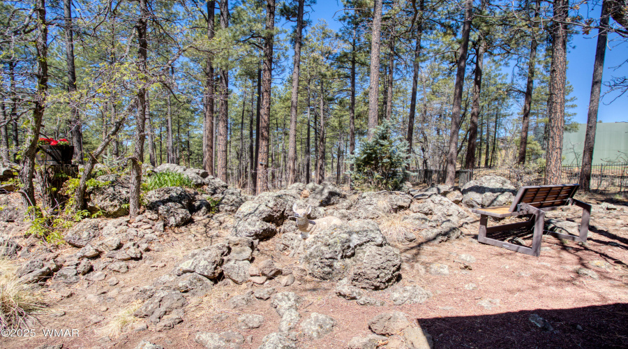 Paxmanphoto_PAX_2806