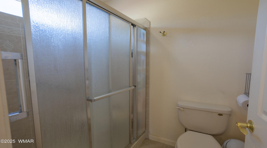 Primary Shower
