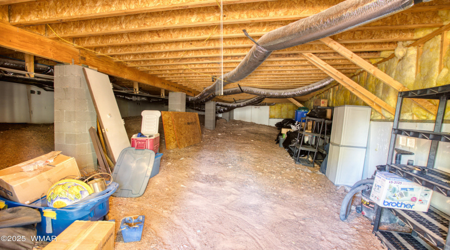 Storage in Basement