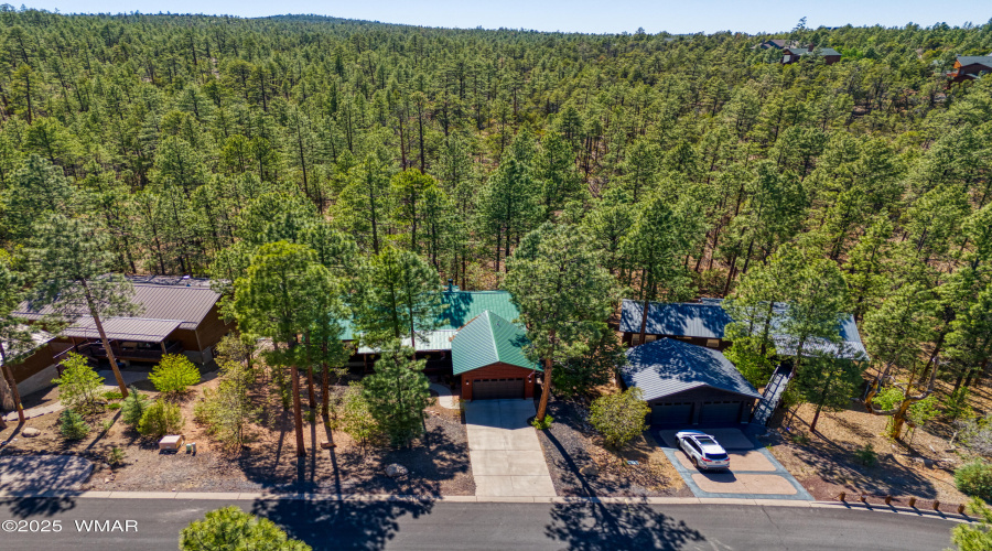 Drone Tree View
