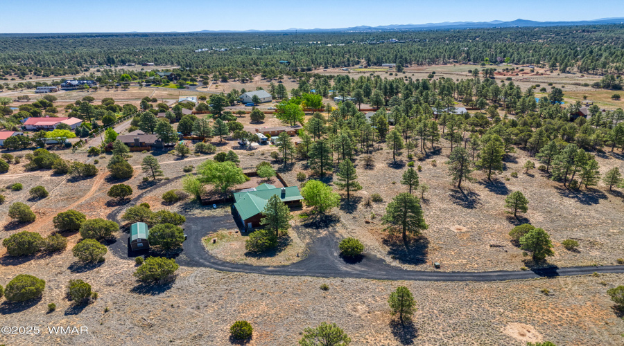 Drone Driveway