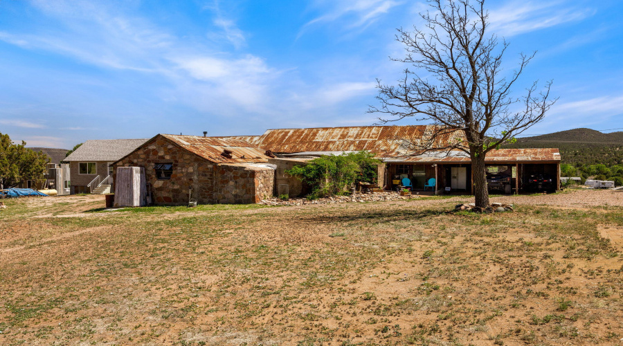 47966AZ288-Young-AZ-41
