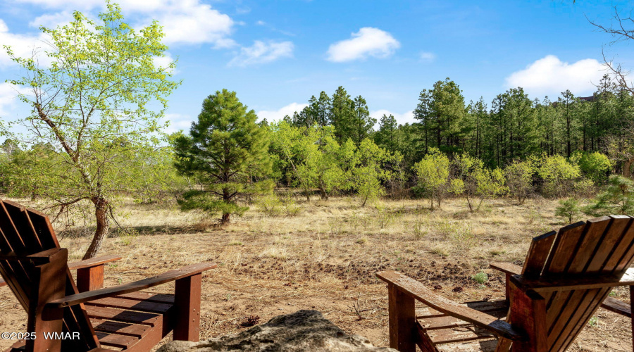 BlackCanyon Rear View