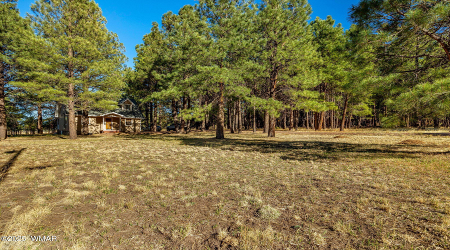 242065-Alpine-AZ-25