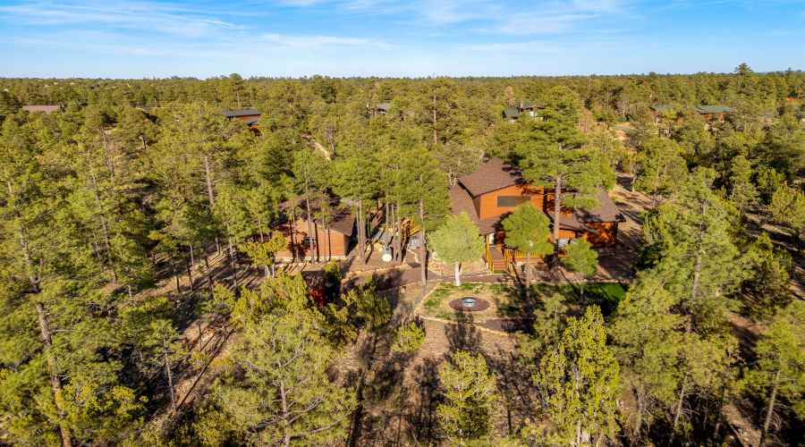 3334SawmillRidgeLoop-Heber-AZ-36