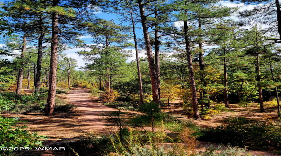 Home backs to the tranquil walking path