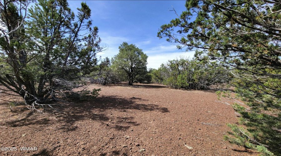 133 & 127 County Road N3314, Vernon, AZ