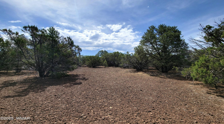 133 & 127 County Road N3314, Vernon, AZ