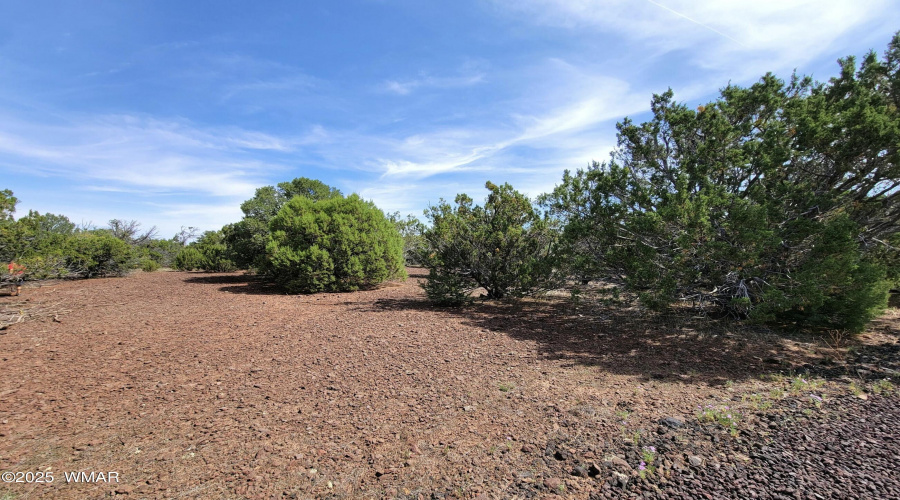 133 & 127 County Road N3314, Vernon, AZ
