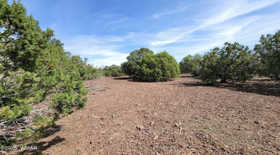 133 & 127 County Road N3314, Vernon, AZ