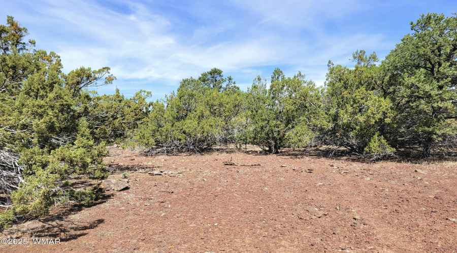 133 & 127 County Road N3314, Vernon, AZ