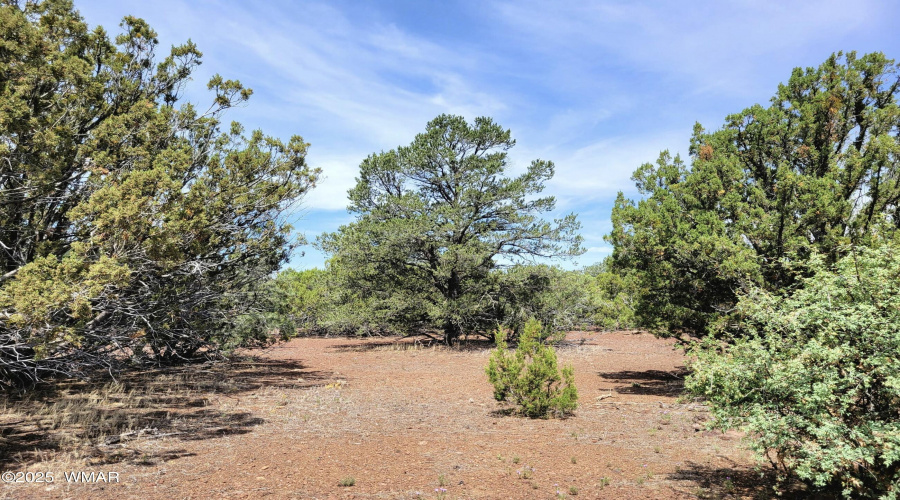 133 & 127 County Road N3314, Vernon, AZ