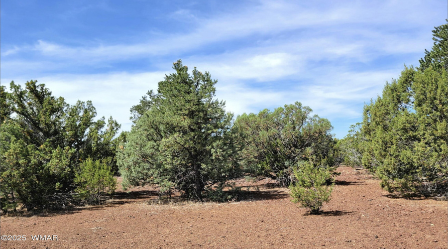 133 & 127 County Road N3314, Vernon, AZ